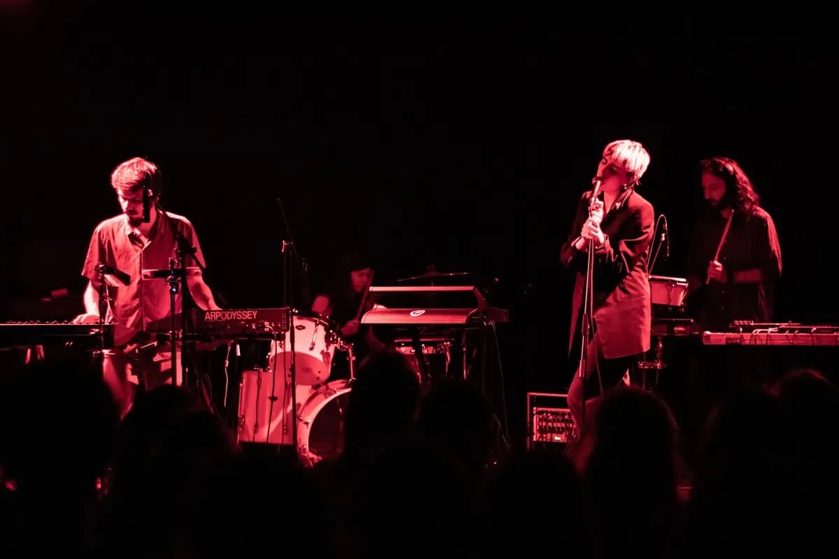 Concert Zimbru | 12 decembrie 2019