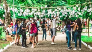Festivalul Luminii 2018