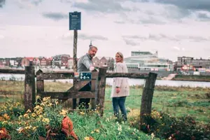 Olanda | 20 - 26 octombrie 2019
